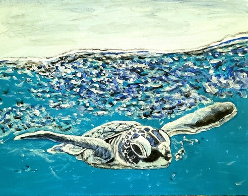 Sea turtle swimming - sea,