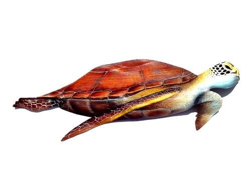 Sea turtle hand painted palm - painted,