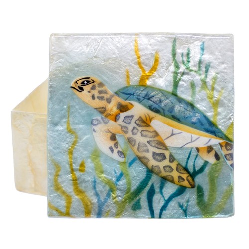 Hand painted sea turtle - sea,