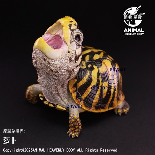 Animal heavenly body - heavenly,