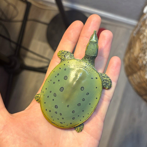 Soft shell turtle figure - shell,