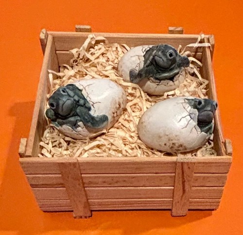 Set hatchling sea turtle - hatchling,