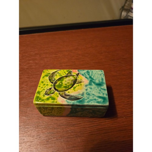 Hand painted sea turtle - hand,