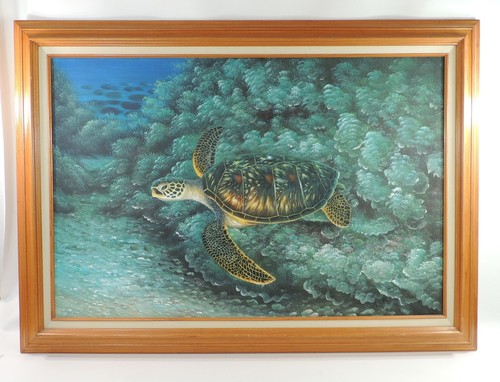 Large sea turtle underwater - turtle,