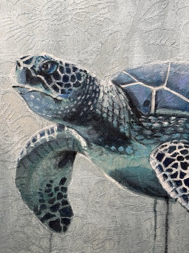 Original green sea turtle - sea,